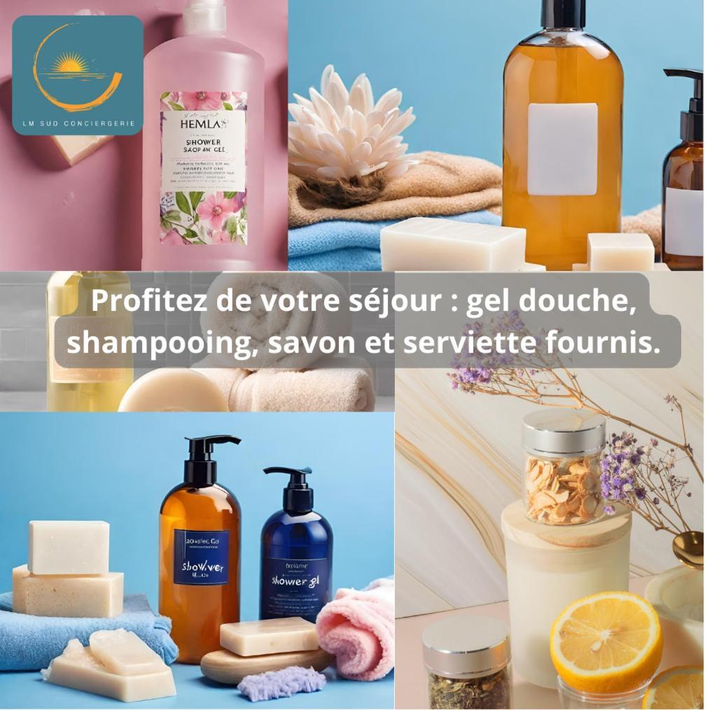 * F3 Haussmannien, Centre-Ville, 4 Pers, Wifi * 몽펠리에 외부 사진