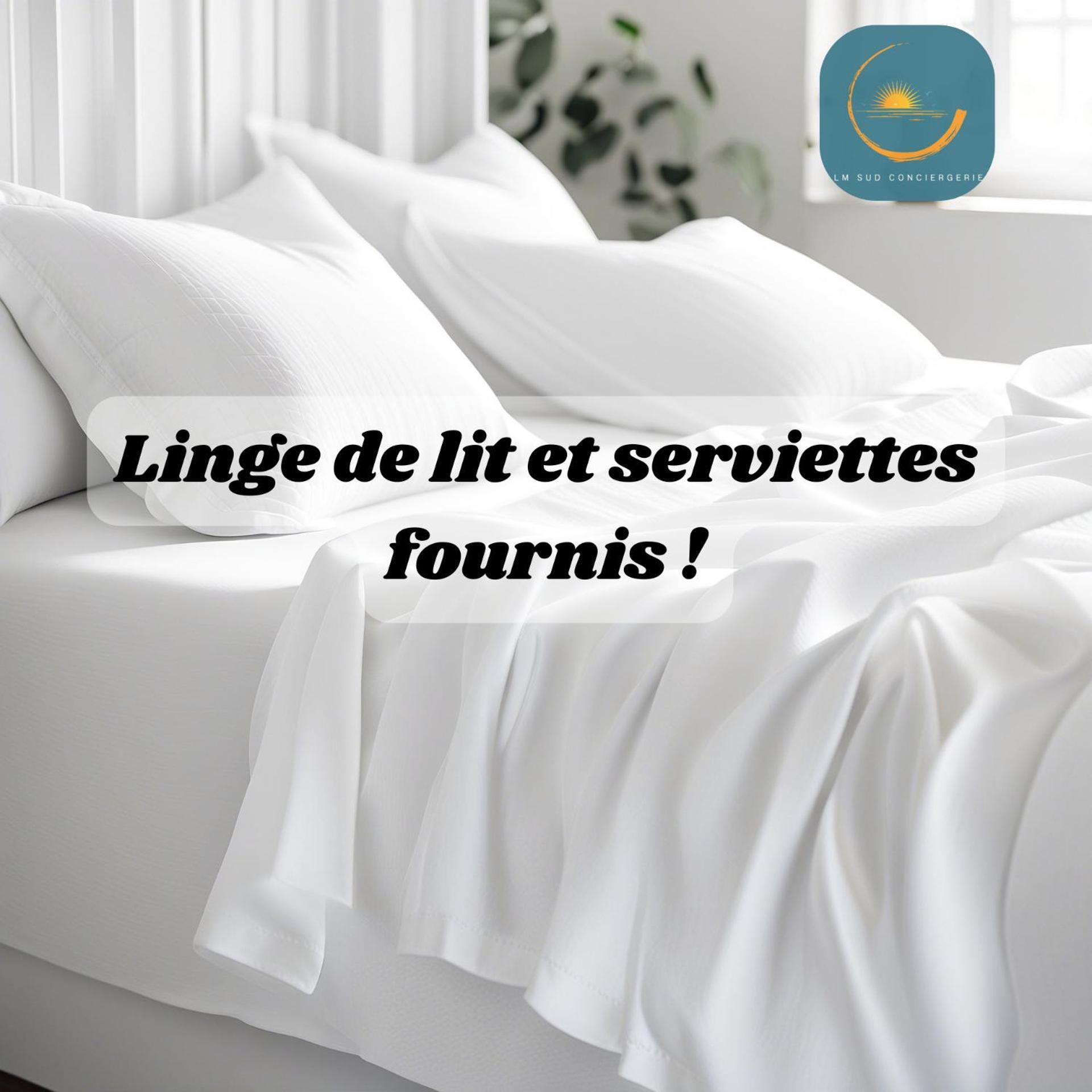 * F3 Haussmannien, Centre-Ville, 4 Pers, Wifi * 몽펠리에 외부 사진