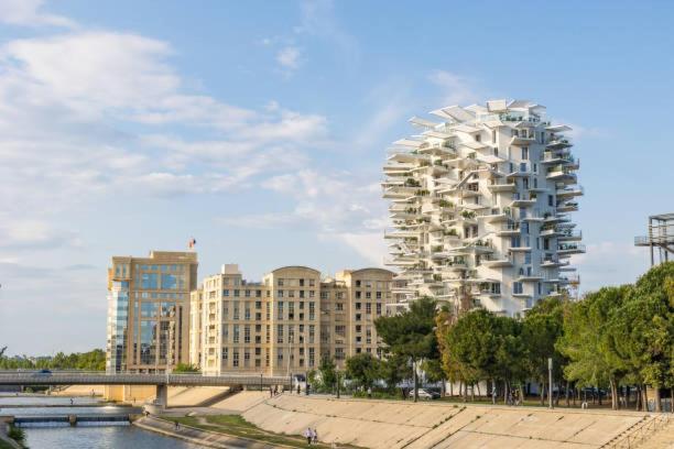 * F3 Haussmannien, Centre-Ville, 4 Pers, Wifi * 몽펠리에 외부 사진