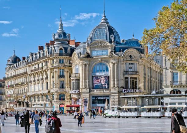 * F3 Haussmannien, Centre-Ville, 4 Pers, Wifi * 몽펠리에 외부 사진